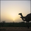 Sahel
