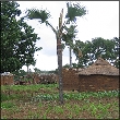 Village